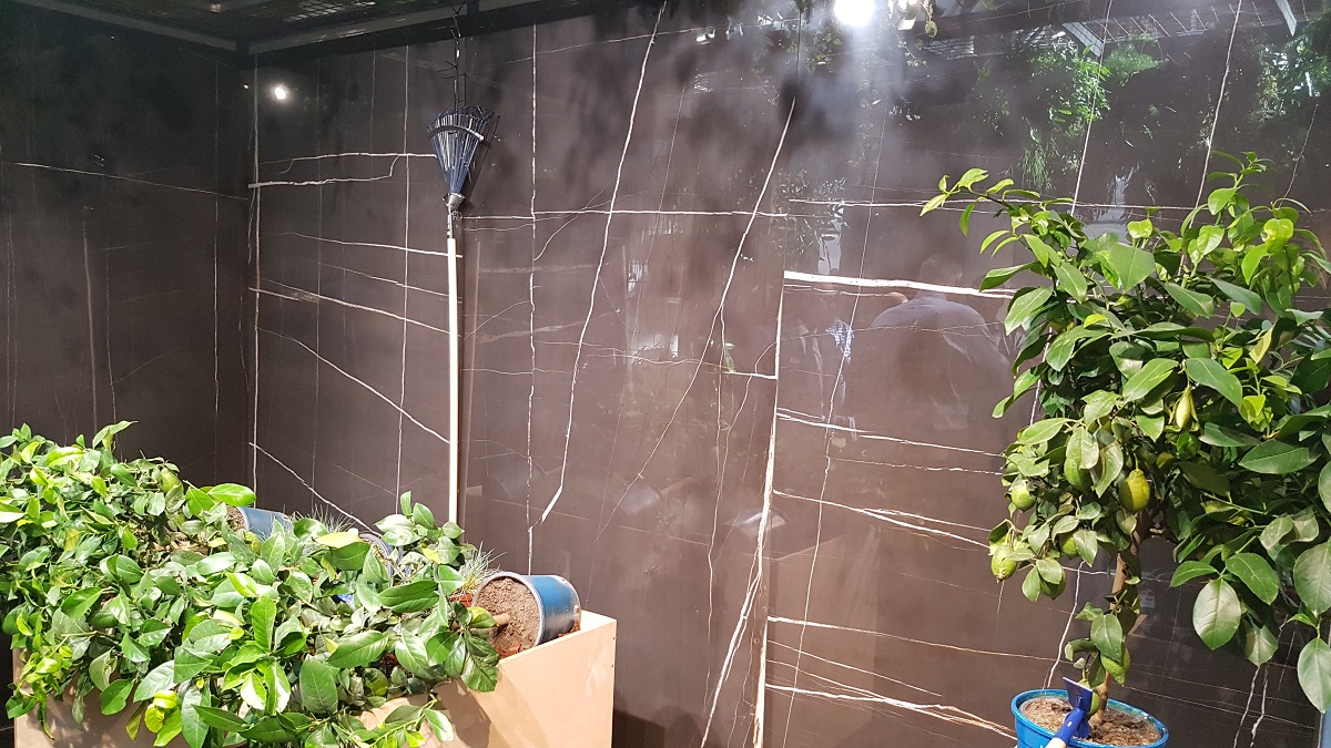 20160926_155321 (2)  resize.jpg